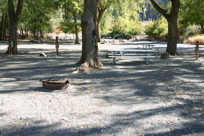 Site 128, photo 3 of 4 · from washington.goingtocamp.com (the park's booking system)