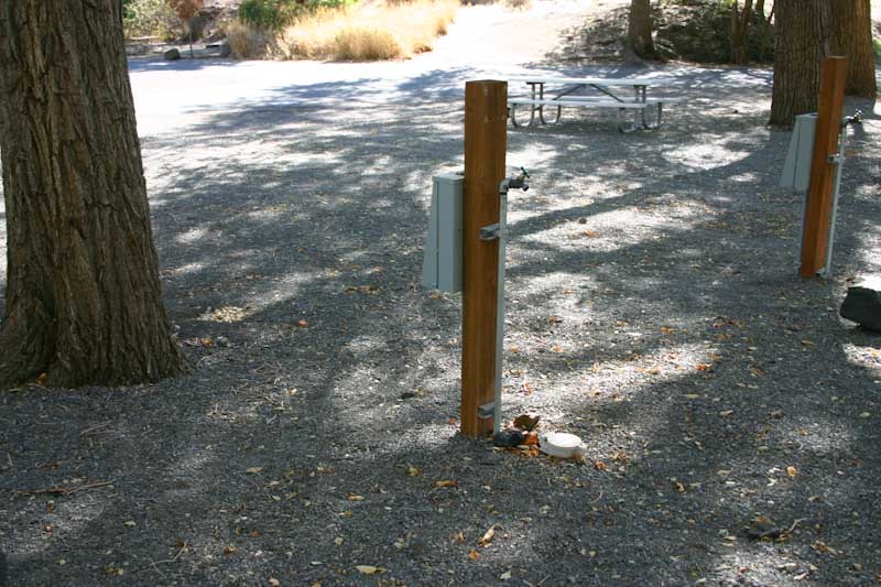 Site 129, photo 3 of 3 · from washington.goingtocamp.com (the park's booking system)