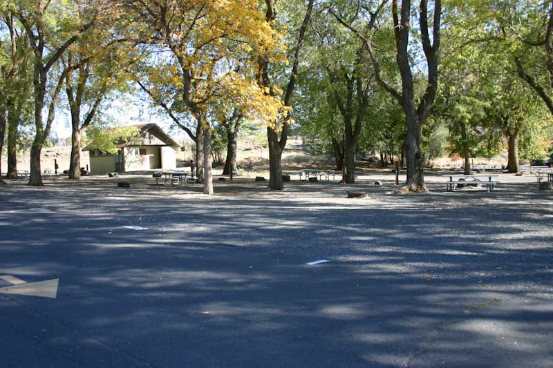 Site 128, photo 2 of 4 · from washington.goingtocamp.com (the park's booking system)