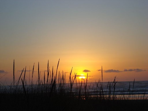 Grayland Beach State Park