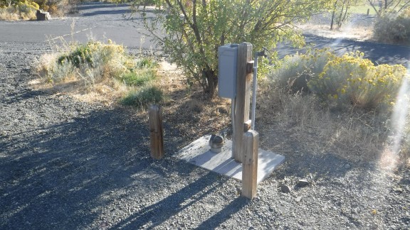 Site 12, photo 2 of 2 · from washington.goingtocamp.com (the park's booking system)